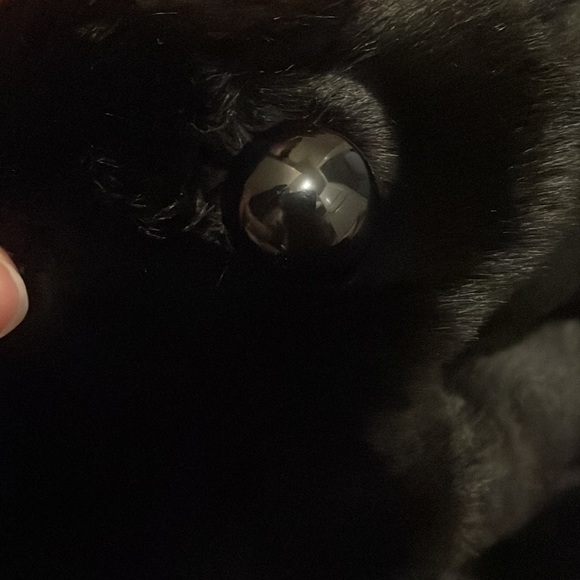 Faux fur cropped coat | American Eagle Outfitters Jackets & Coats | - Picture 7 of 7